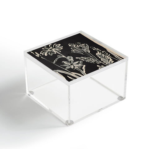 ThingDesign Minimalist wildflowers 3 Acrylic Box
