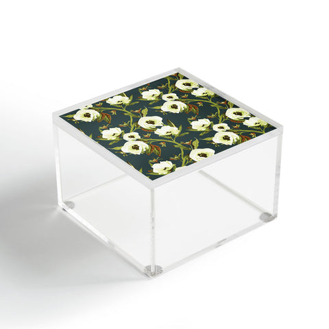ThirtyOne Illustrations Circa in Olive Acrylic Box