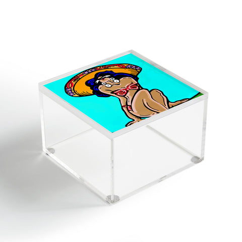Tina Salazar Summer Time Sombrero Acrylic Box