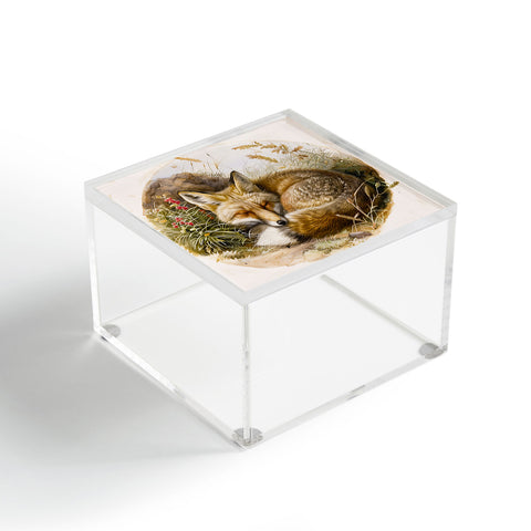 trajeado14 Fox Sleeping Vintage Illustration Acrylic Box