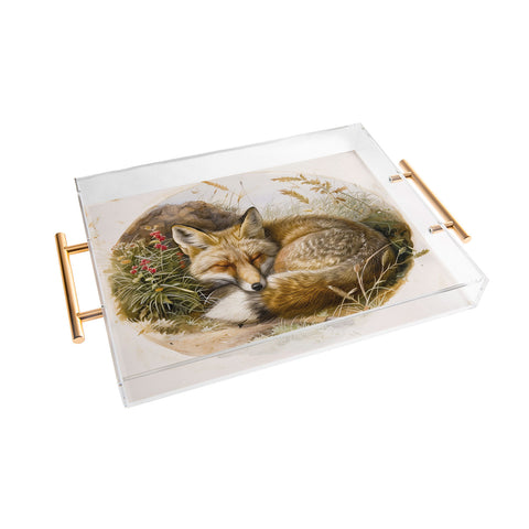 trajeado14 Fox Sleeping Vintage Illustration Acrylic Tray