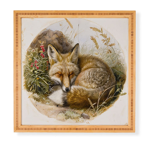 trajeado14 Fox Sleeping Vintage Illustration Framed Wall Art