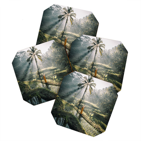 Tristan Zhou Rice Terrance Sunrise Coaster Set