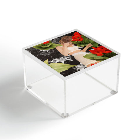 Tyler Varsell Uncover Acrylic Box