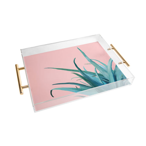 Viviana Gonzalez Aloe Vera 01 Acrylic Tray