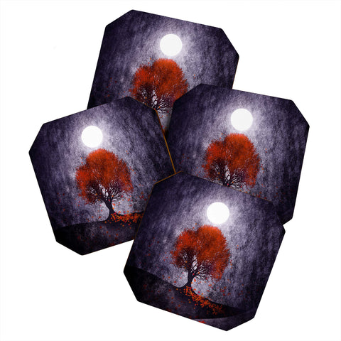Viviana Gonzalez Beautiful season Coaster Set