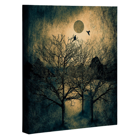Viviana Gonzalez Dark Forest II Art Canvas