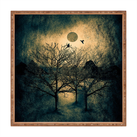 Viviana Gonzalez Dark Forest II Square Tray