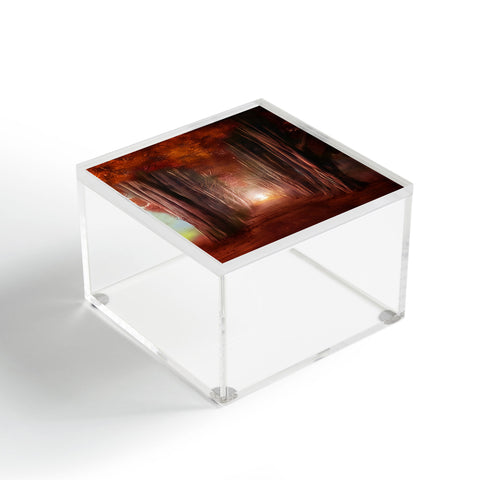 Viviana Gonzalez Dreams come true Acrylic Box