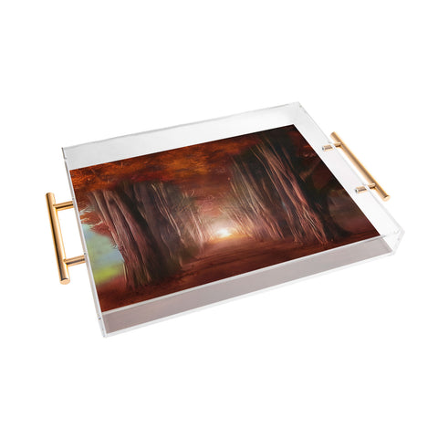 Viviana Gonzalez Dreams come true Acrylic Tray