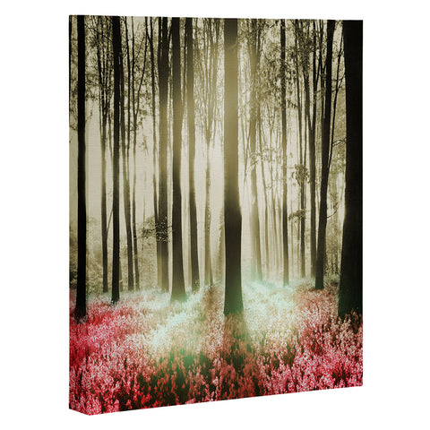 Viviana Gonzalez Forest II Art Canvas
