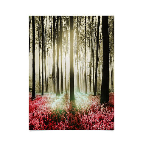 Viviana Gonzalez Forest II Poster