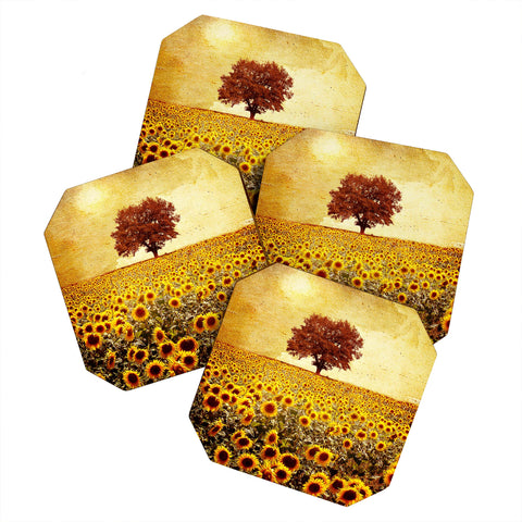 Viviana Gonzalez Lone Tree And Sunflowers Field Coaster Set