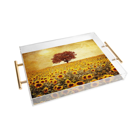 Viviana Gonzalez Lone Tree And Sunflowers Field Acrylic Tray