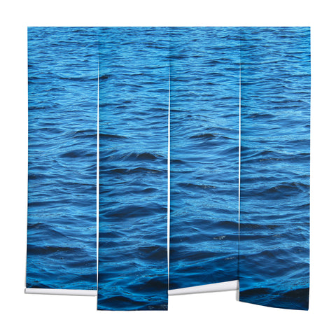 Viviana Gonzalez Meditative Water Wall Mural