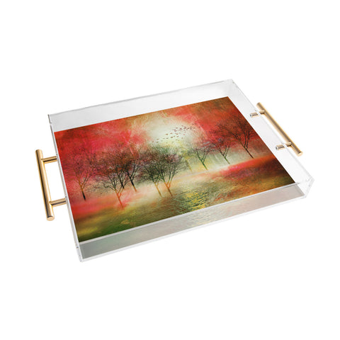 Viviana Gonzalez Paisaje Y Color III Acrylic Tray