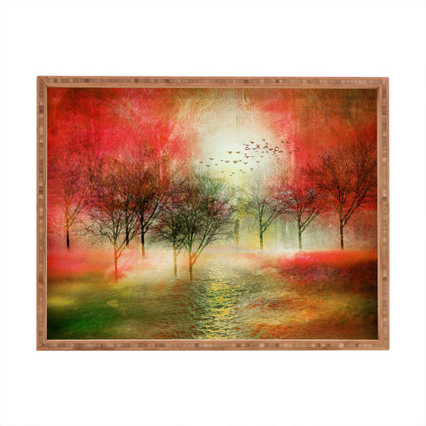Viviana Gonzalez Paisaje Y Color III Rectangular Tray