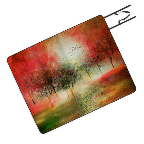 Viviana Gonzalez Paisaje Y Color III Picnic Blanket