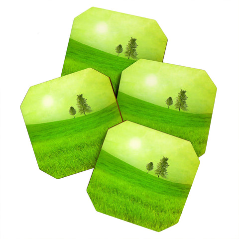 Viviana Gonzalez Trees And Shinning Field I Coaster Set