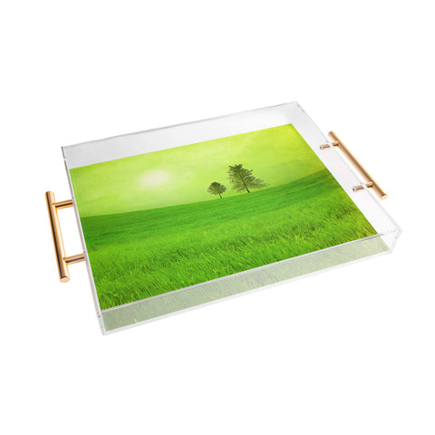 Viviana Gonzalez Trees And Shinning Field I Acrylic Tray