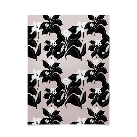 Viviana Gonzalez White WildFlowers Poster