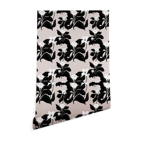 Viviana Gonzalez White WildFlowers Wallpaper