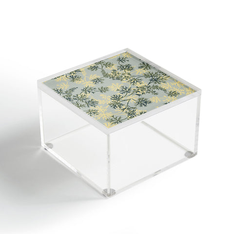 Wagner Campelo Garden Weeds 1 Acrylic Box