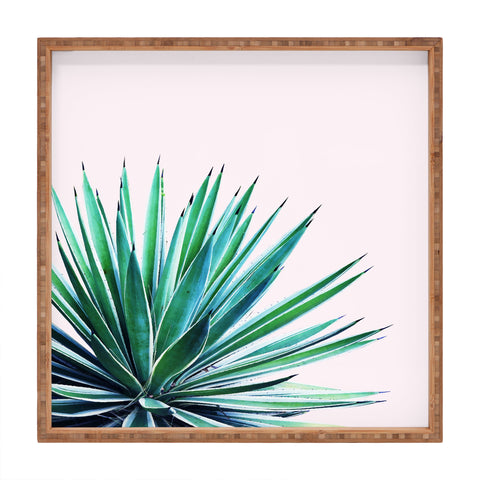 83 Oranges Agave Love Square Tray