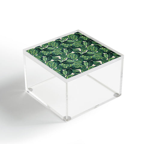 83 Oranges Botany Acrylic Box