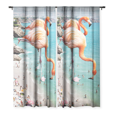 83 Oranges Flamingos on the Beach Wildlife Sheer Non Repeat