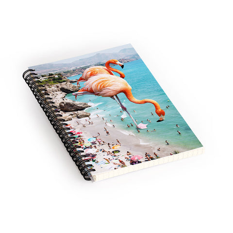 83 Oranges Flamingos on the Beach Wildlife Spiral Notebook