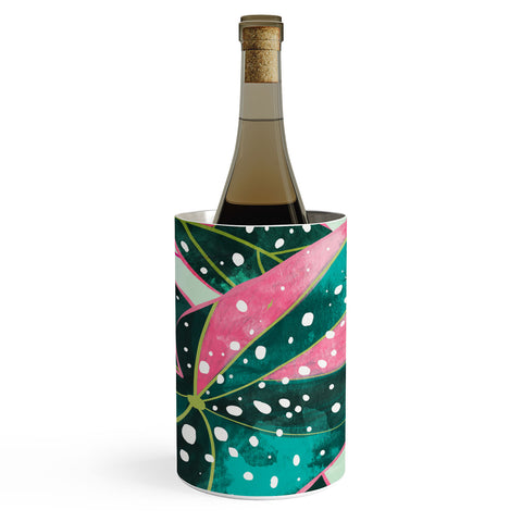 83 Oranges Haripriya Wine Chiller