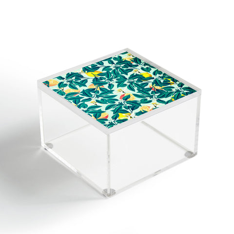 83 Oranges Lemon Pattern Acrylic Box