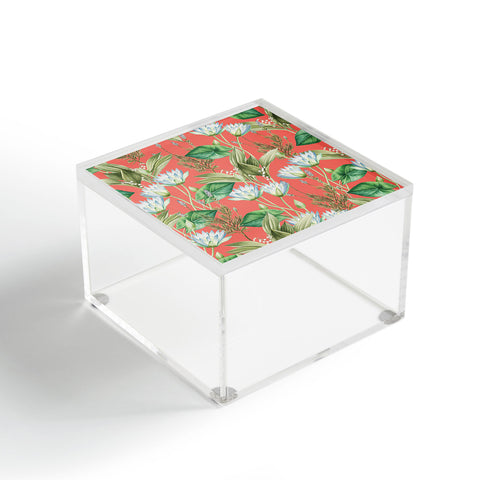 83 Oranges Lilyka Acrylic Box