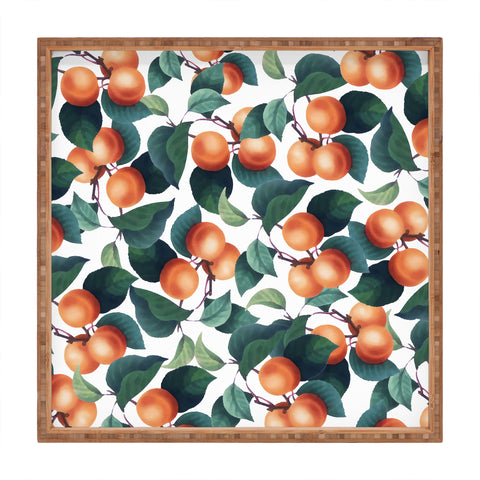83 Oranges Tropical Fruit Pattern Square Tray