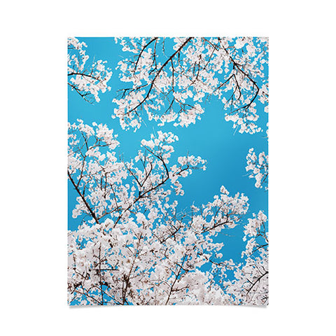 83 Oranges White Blossom And Summer Poster