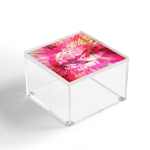 Adam Priester Color Explosion II Acrylic Box