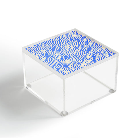 Adam Priester Coral Pattern II Acrylic Box