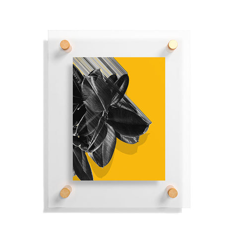 Adam Priester Crush Into Orange Floating Acrylic Print
