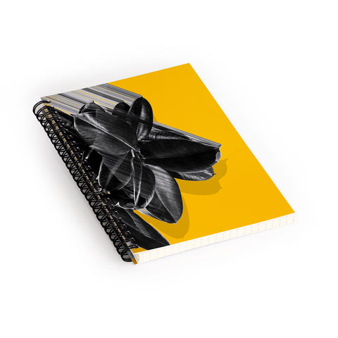 Adam Priester Crush Into Orange Spiral Notebook