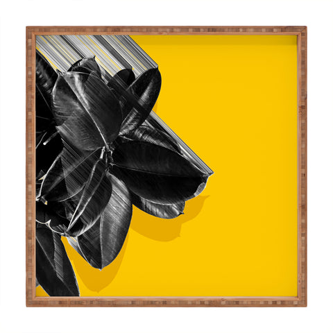 Adam Priester Crush Into Orange Square Tray