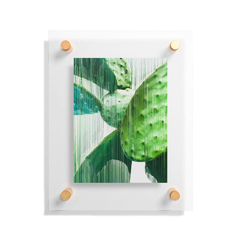 Adam Priester Fast Cacti Floating Acrylic Print