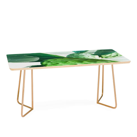 Adam Priester Fast Cacti Coffee Table