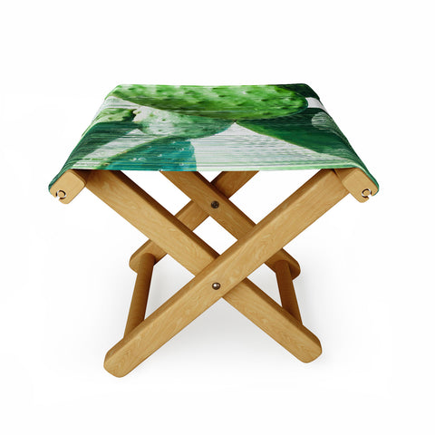 Adam Priester Fast Cacti Folding Stool