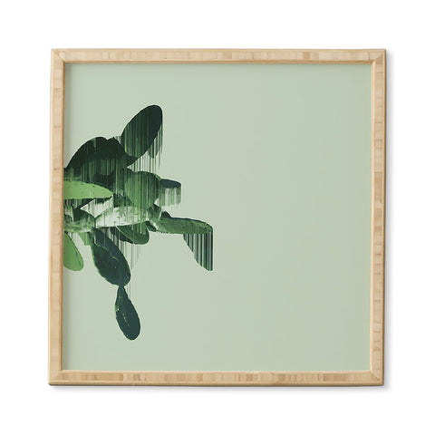 Adam Priester Get your cactus sorted Framed Wall Art