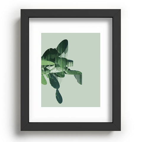 Adam Priester Get your cactus sorted Recessed Framing Rectangle