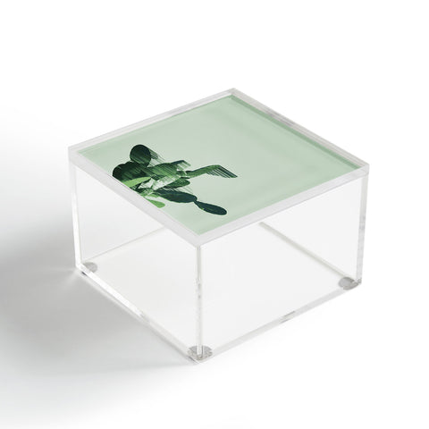 Adam Priester Get your cactus sorted Acrylic Box
