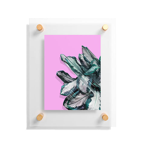 Adam Priester Plant Dynamics Floating Acrylic Print