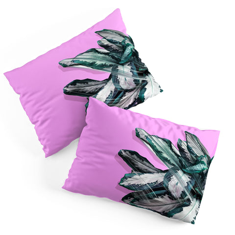 Adam Priester Plant Dynamics Pillow Shams