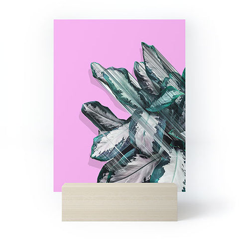 Adam Priester Plant Dynamics Mini Art Print